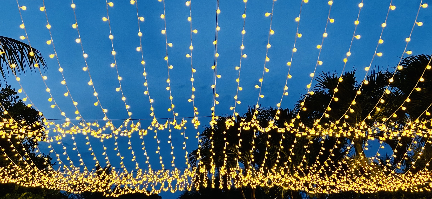 Lighting, bat mitzvah, decorative LED globe string lights, Cooper City, FL