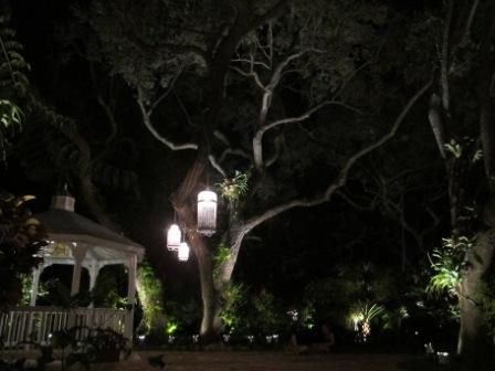 Lighting, wedding, home and garden, private residence, Miami, FL