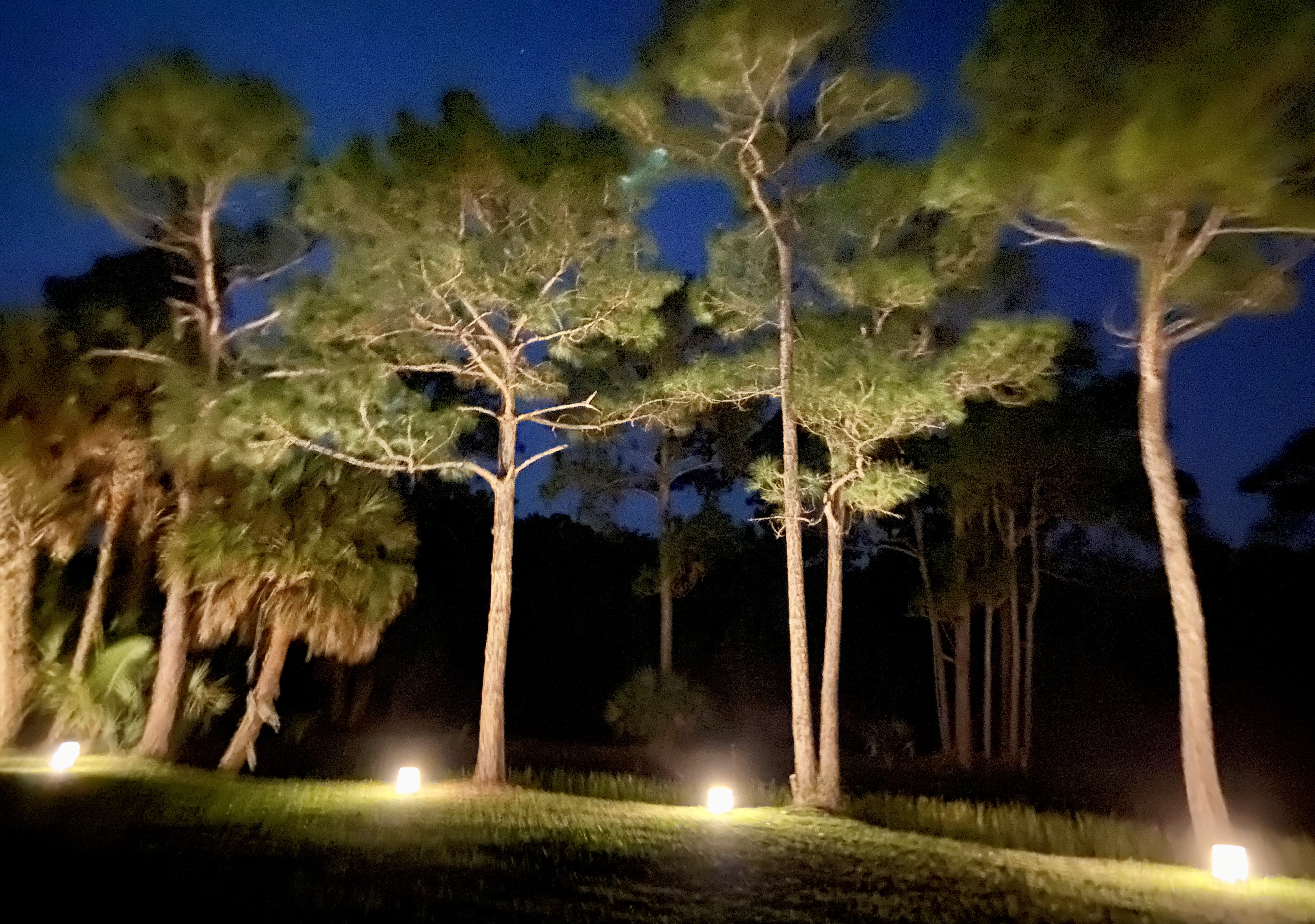 Lighting, corporate headquarters, Hobe Sound, FL