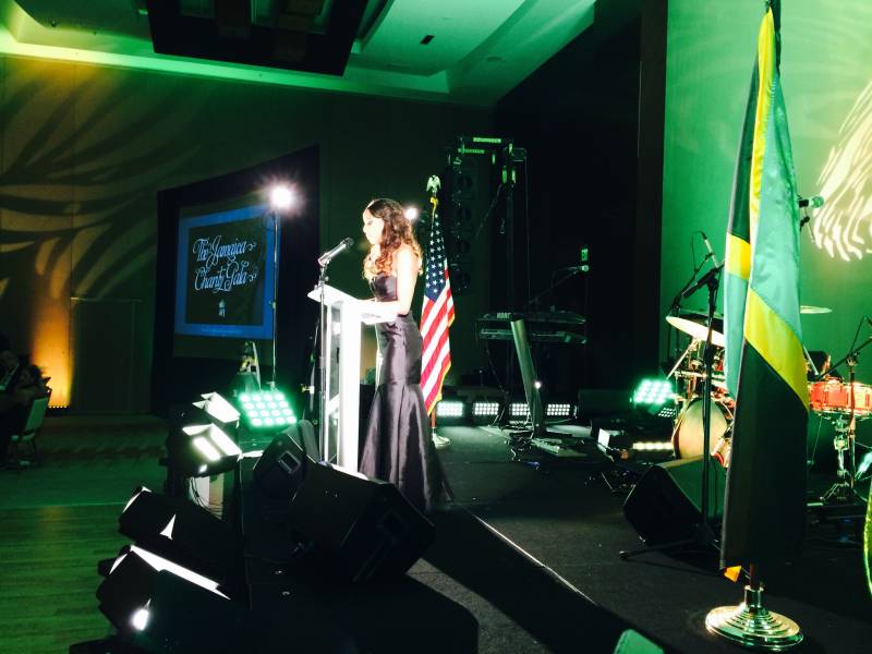 Lighting, stage, master of ceremonies, American Friends of Jamaica, Marriott Marquis, Miami, FL