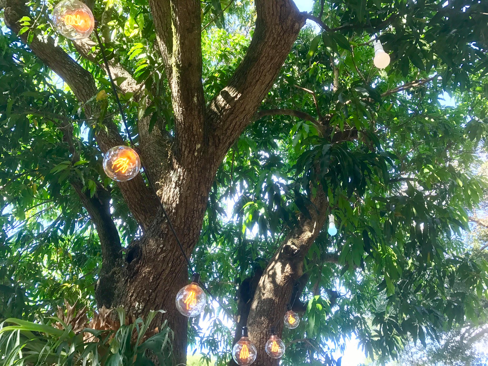 Lighting, backyard bash, string lights, private residence, Miami Shores, FL